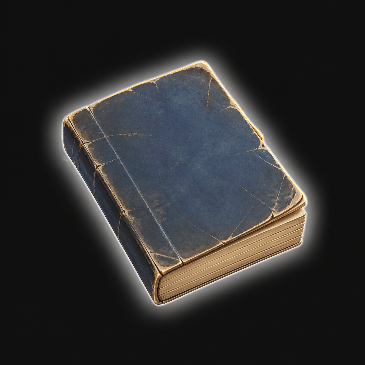 Paperback Novel (Worn)